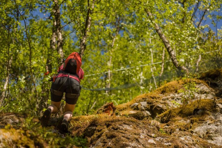 Geiranger: Rappelling tour with epic view - Jumar Climb With Rope Clamps: The Steep Part You Actually Feel in Your Arms