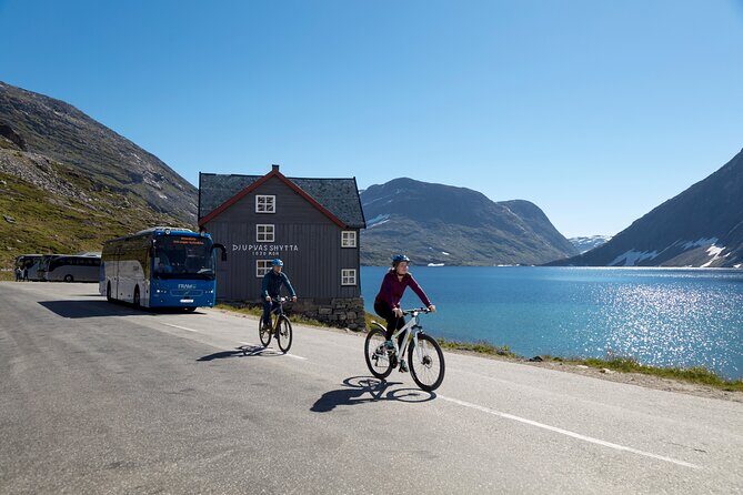 Geiranger: Sky to Fjord Downhill Biking Adventure - The Descent Itself: What 16 km of Gravity Feels Like
