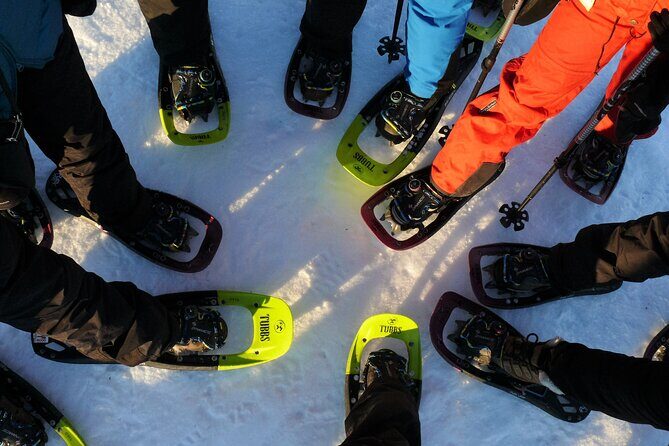 Guided easy snowshoeing with a visit to local café - Key highlights you’ll care about