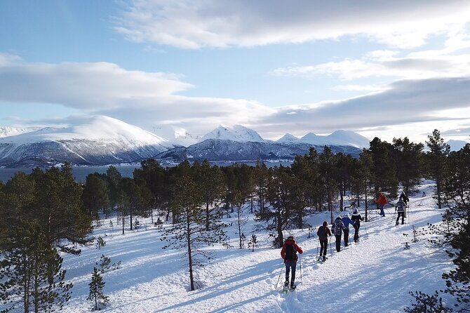 Guided easy snowshoeing with a visit to local café - Included value: snowshoes, poles, cake, and why it costs what it costs
