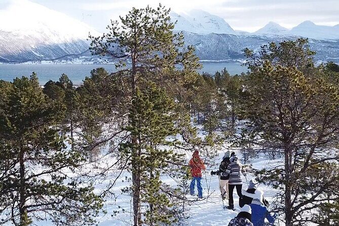 Guided easy snowshoeing with a visit to local café - Getting ready: what to bring so the cold doesn’t win