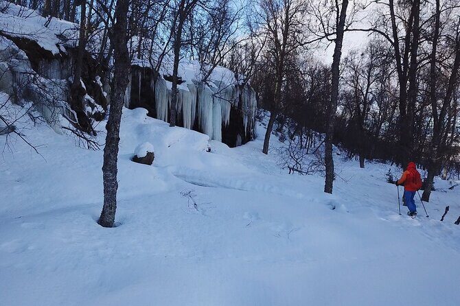 Guided easy snowshoeing with a visit to local café - What you’re actually looking at: winter scenery and polar-night light