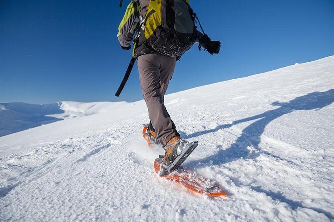 Guided Morning Snowshoe Hike with Huskies - Key Takeaways Before You Go