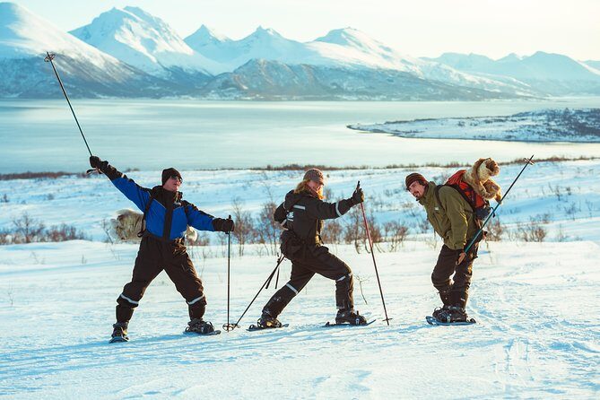 Guided Morning Snowshoe Hike with Huskies - Why This Snowshoe and Husky Combo Works in Tromsø