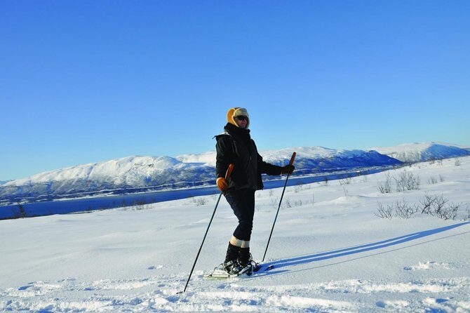 Guided Morning Snowshoe Hike with Huskies - The Tromsø Wilderness Centre Start: Less Hassle, More Morning