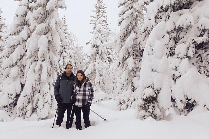Guided Snowshoe Walk on Tromsoya Island in Tromso - Key Highlights You’ll Care About