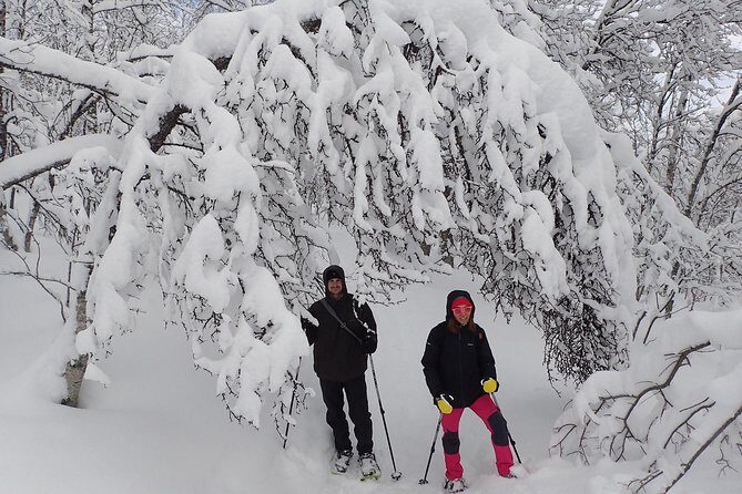 Guided Snowshoe Walk on Tromsoya Island in Tromso - Walking Tromsøya Island Forest Paths: Views, Photo Stops, and Stories