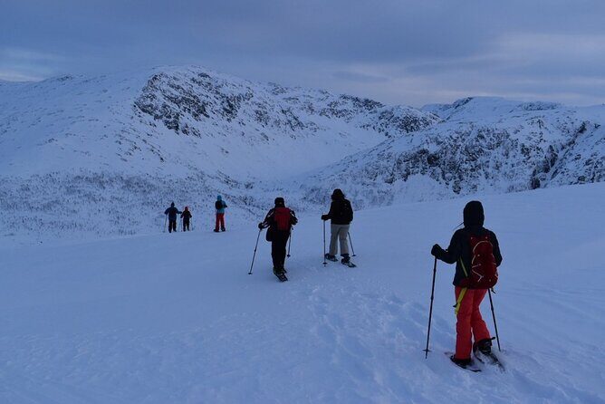 Guided Snowshoe Walk on Tromsoya Island in Tromso - How Long Is This Really, and Where the Time Goes?