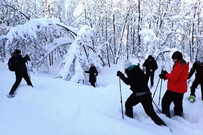 Guided Snowshoe Walk on Tromsoya Island in Tromso - The First Drive and Snowshoe Instruction (Before You Walk for Real)