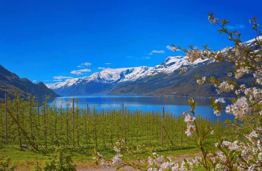 Guided tour: Hardangerfjord, Waterfalls and Ferry crossing - The basic idea: waterfalls, fjord ferries, and old villages—without chaos