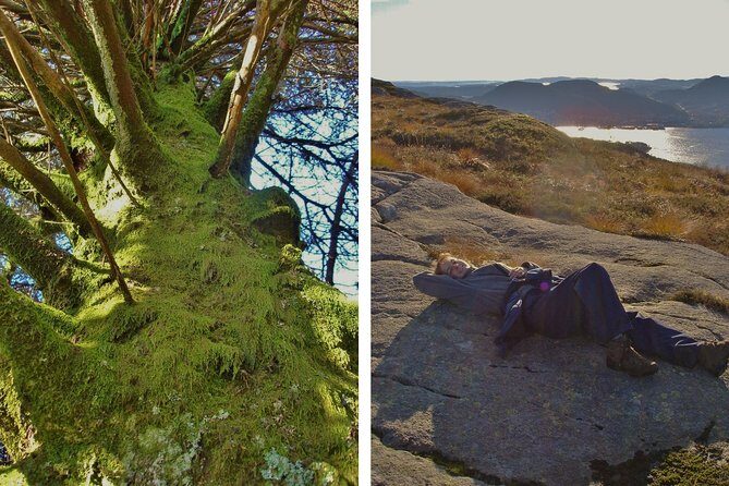 GUIDED TOUR: Hiking to Stoltzekleiven - Summit at Sandviksfjellet: weather vane views over Bergen and the fjords