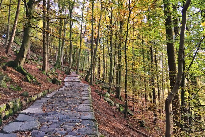 GUIDED TOUR: Hiking to Stoltzekleiven - Guide and group size: why this hike feels personal