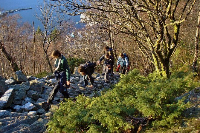 GUIDED TOUR: Hiking to Stoltzekleiven - Price and value: is $97.17 for 3 hours a fair deal?