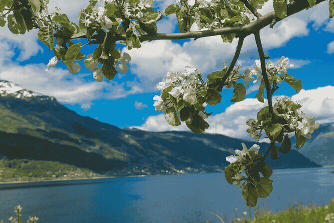 Guided tour to Hardangerfjord with Waterfalls and Ferry Crossing - Steinsdalsfossen: the walk-behind waterfall that makes the trip worth it