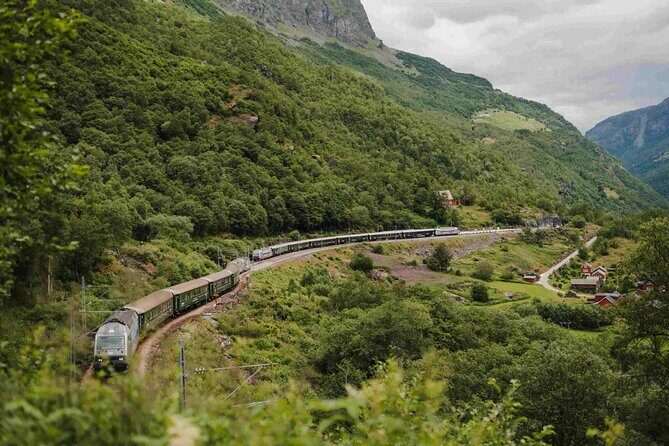 Guided tour to Viking Village, Nærøyfjorden Cruise & Flåm Railway - Nærøyfjord Cruise for 2 Hours: boat design beats guesswork