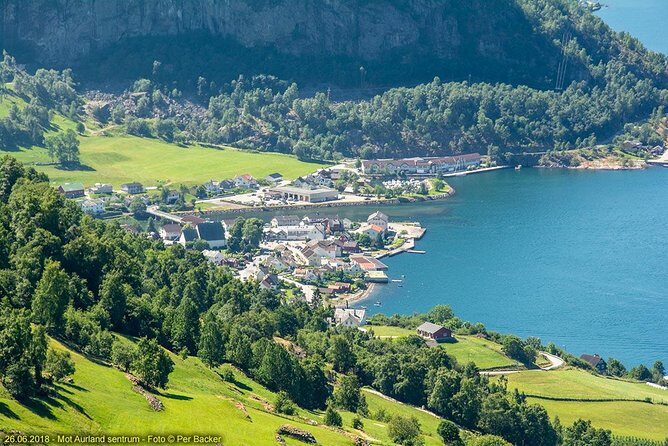 Guided tour - Viking Village, Nærøyfjord Cruise and Flåm Railway - Myrdal Station and the Two Train Experience: Steep Grades, Lots of Tunnels
