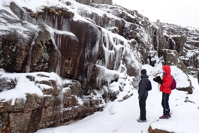 Guided winter hike to Pulpit Rock Preikestolen - Small group and private transfers: why it feels calmer