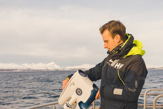 Half Day Arctic Fjord Cruise from Tromso - Key things worth knowing before you go