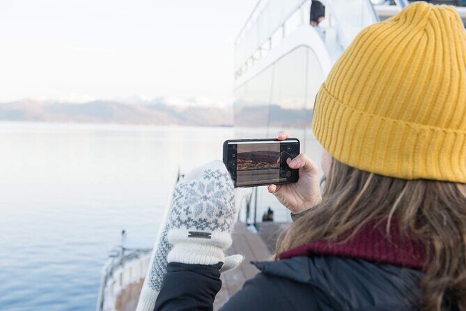 Half Day Arctic Fjord Cruise from Tromso - Half-day arctic fjords from Tromsø: what 4 hours is really like