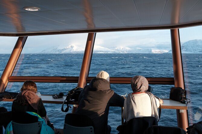 Half Day Arctic Fjord Cruise from Tromso - How the guide commentary changes the cruise (and makes photos easier)