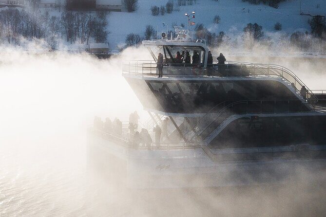 Half Day Arctic Fjord Cruise from Tromso - Weather, packing, and when to prioritize the outdoor deck