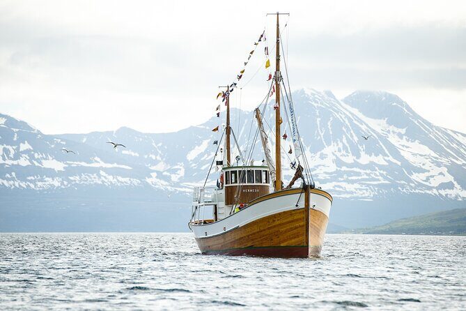 Half-Day Fishing & Fjord Cruise Adventure from Tromsø in Norway - The Morning Start: Stortorget and Finding Hermes II