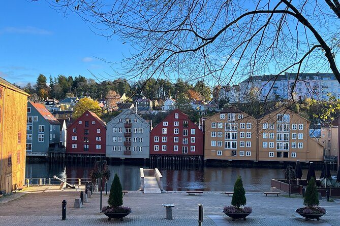 Half-Day Highlights of Trondheim by Bus and City Walk - Nidaros Cathedral: plan for a fast look or pay for the inside