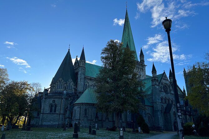 Half-Day Highlights of Trondheim by Bus and City Walk - Stiftsgården: royal residence stop with just enough context