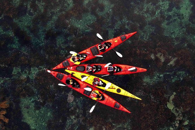 Half Day Kayak - Northern Explores AS - Key things to know before you go
