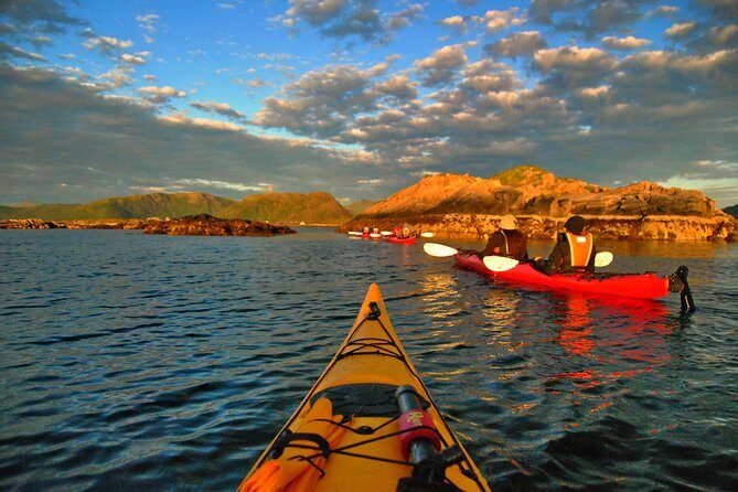 Half Day Kayak - Northern Explores AS - Breaks, hot drinks, and how the guide storytelling actually works