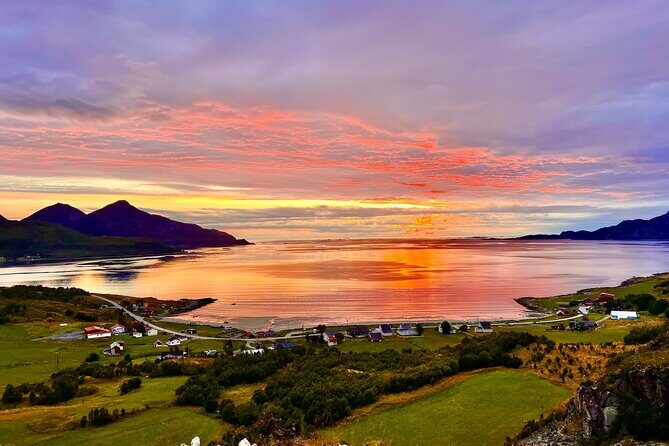 Half-Day Scenic Wildlife & Photographic Fjord Tour. - Meeting at Smørtorget and staying on schedule
