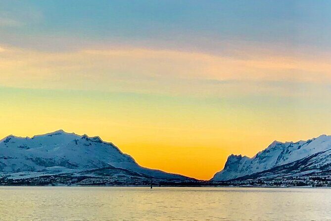 Half-Day Scenic Wildlife & Photographic Fjord Tour. - Snacks, comfort, and what to bring