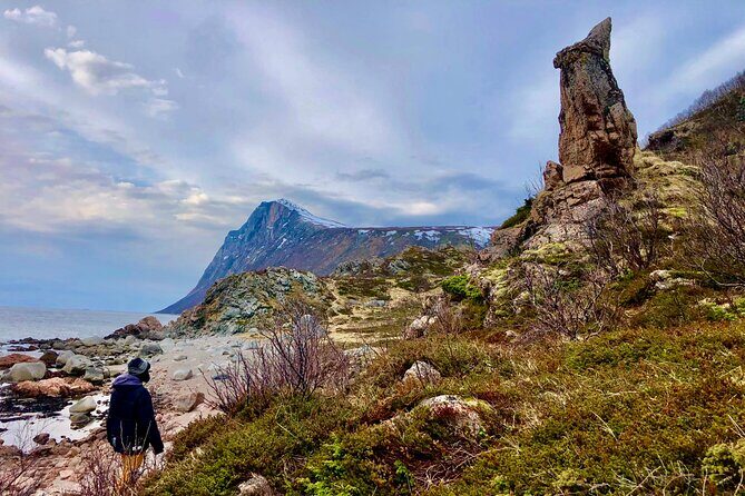 Half-Day Scenic Wildlife & Photographic Fjord Tour. - Price and value: what $193.31 buys you