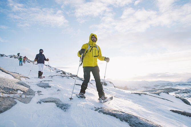 Half Day Snowshoe Tour - The Guide Makes or Breaks It (and this one gets high marks)
