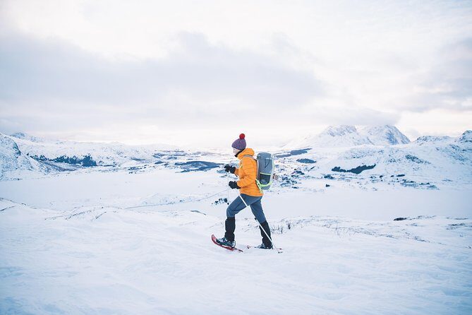 Half Day Snowshoe Tour - Route and Terrain: Expect Effort, Not Technical Skills