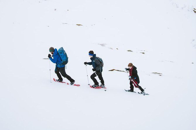 Half Day Snowshoe Tour - Timing: Why 10:30 am Works for Lofoten Snow