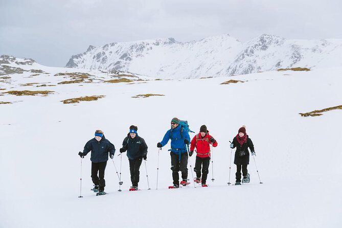Half Day Snowshoe Tour - English-Speaking Guidance: Small Talk, Big Clarity