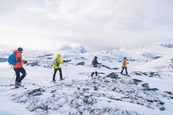 Half Day Snowshoe Tour - Price and Value: Is $105.13 for 4 Hours Reasonable?