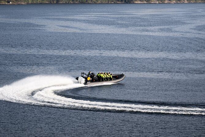 Hardangerfjord Ultimate RIB adventure from Ulvik - Simadalsfjorden: 15 minutes of mountains and clear water