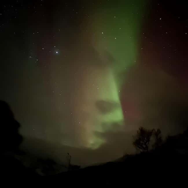 Harstad/Narvik: Northern Lights Tours with Second Day Chance - When the sky does show: wine, photo help, and the hunt-to-capture shift
