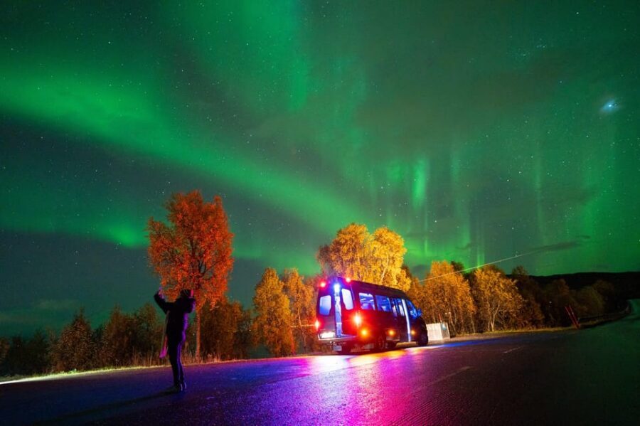Harstad: Northern Lights Hunt on Hinnøya Island - Why Harstad and Hinnøya are a practical aurora base