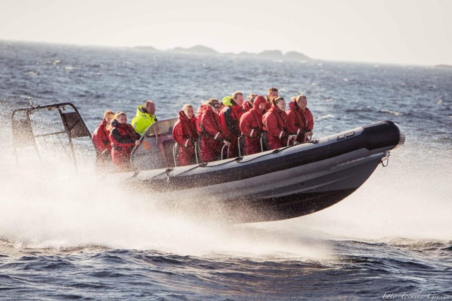 Haugesund: RIB Safari to the island communities - Who Should Book This Haugesund RIB Safari (and Who Should Skip It)