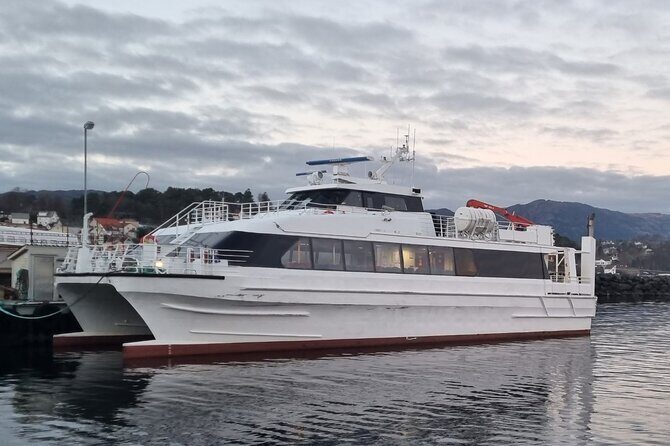 Hellesylt Sightseeing Boat Geirangerfjord - The Waterfall Loop: Seven Streams, Bridal Veil, and The Suitor