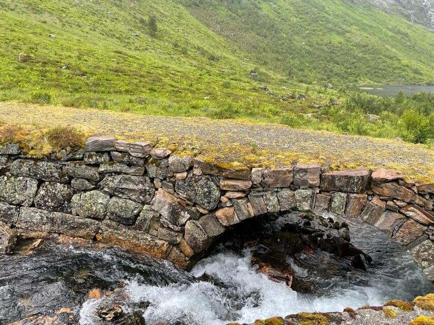 Hellesylt to Norangsdalen: Scenic E-Bike Tour - Key highlights worth your attention