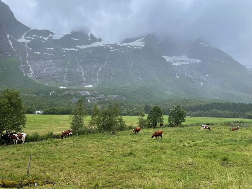 Hellesylt to Norangsdalen: Scenic E-Bike Tour - Who this e-bike tour is best for