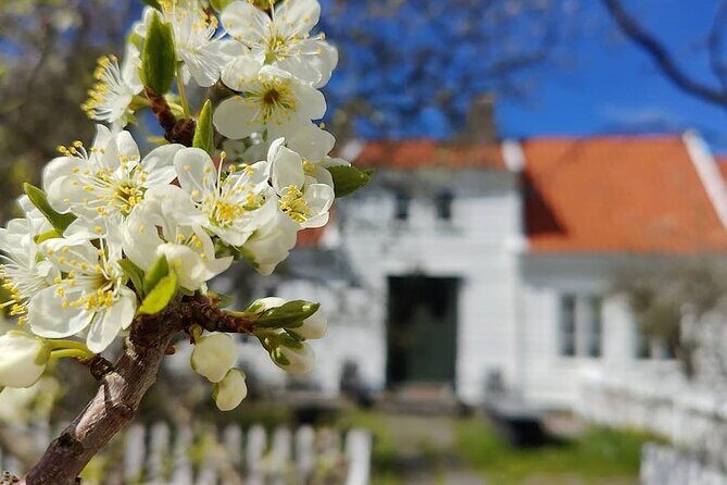 Highlights of the Region -City/Skudenes/Avaldsnes Guided Bustour - Key points you’ll care about