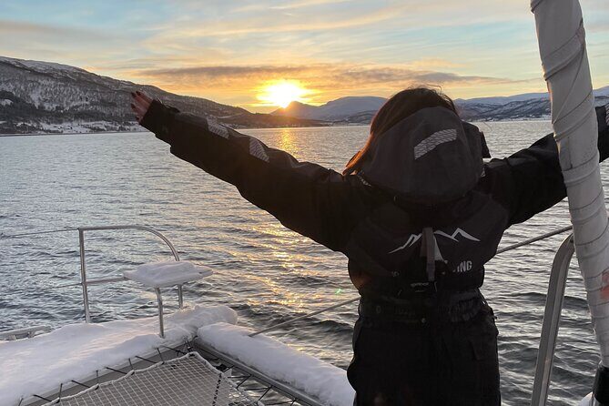 History Fjordcruise Around The Isle Of Tromso - Luxury Catamaran - Who should book this cruise (and who might want a different plan)