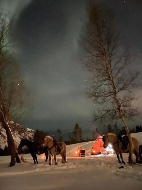 Horse riding and dining experience - Key things that make this ride-and-dinner evening special
