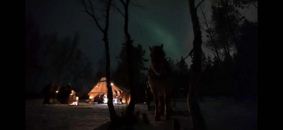 Horse riding and dining experience - From Alta pickup to Flatmoen Natur farm: an evening that starts smoothly