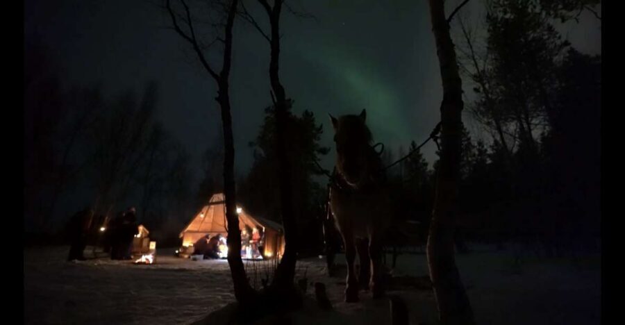 Horse riding and dining experience - The ride itself: forest, Alta River, and sleigh-bell sound tracking the night